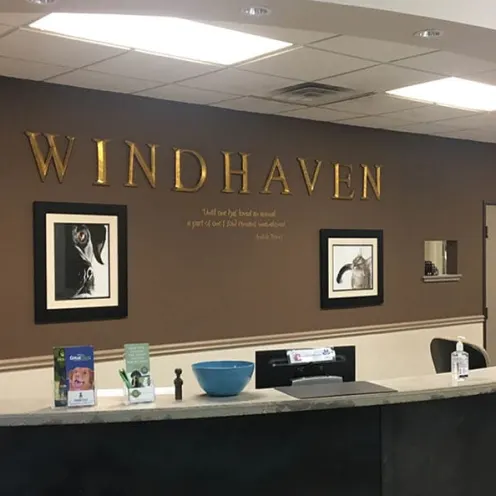 Windhaven Veterinary Hospital front reception counter